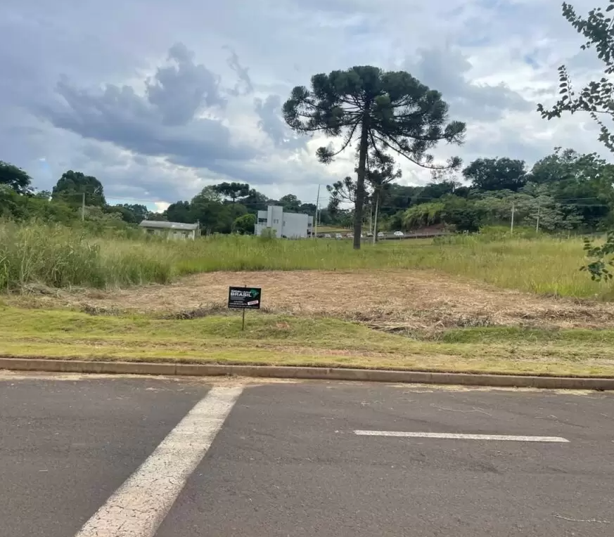 Área para Desenvolvimento